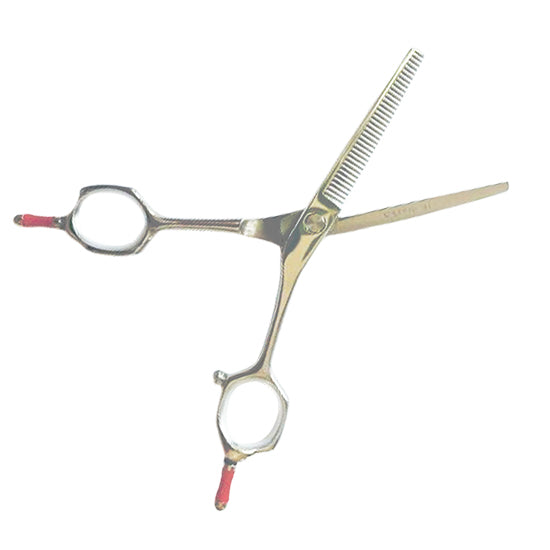 Scissors set - Student series - 5.5 inch with green comb and clips