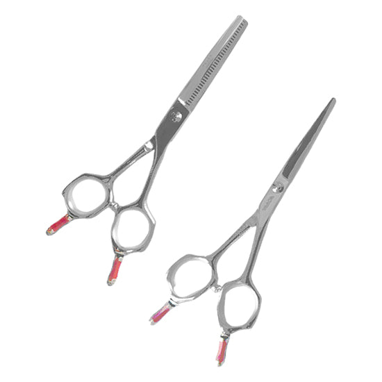 Scissors set - Student series - 5.5 inch with green comb and clips